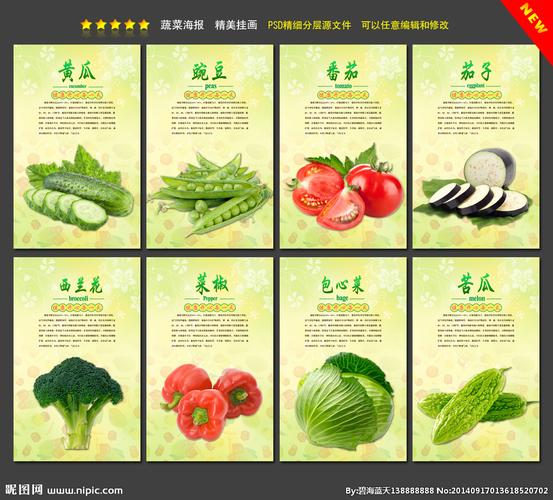 健康蔬菜介绍