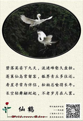 描写仙鹤的诗七言绝句