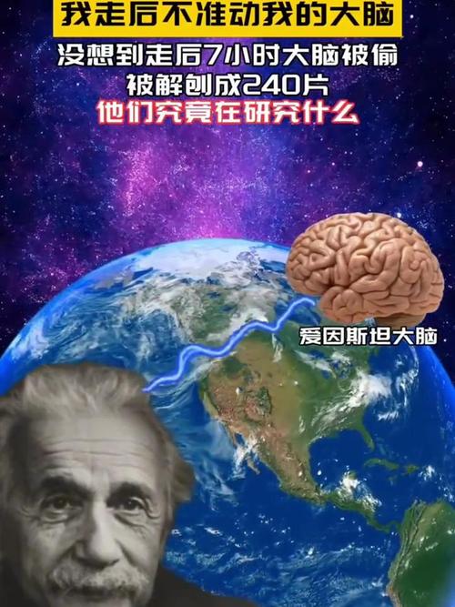 爱因斯坦大脑