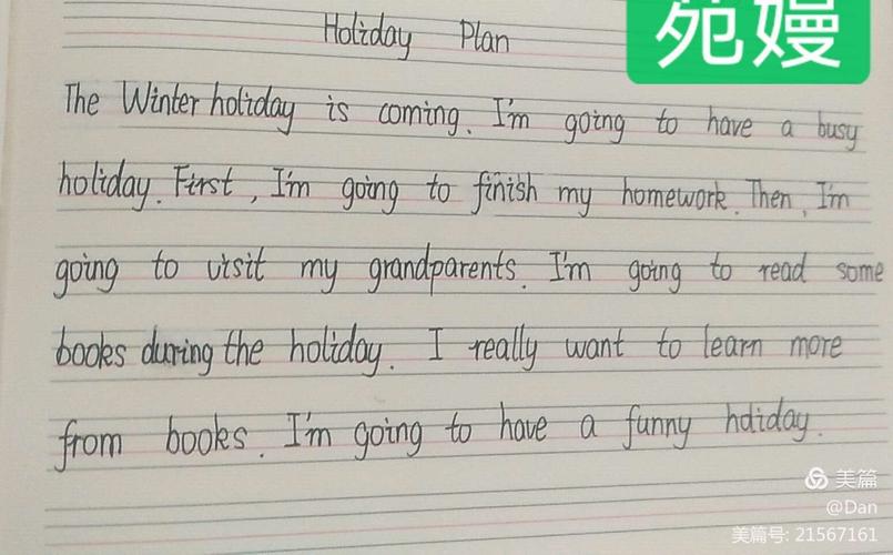 my holiday plan英语作文
